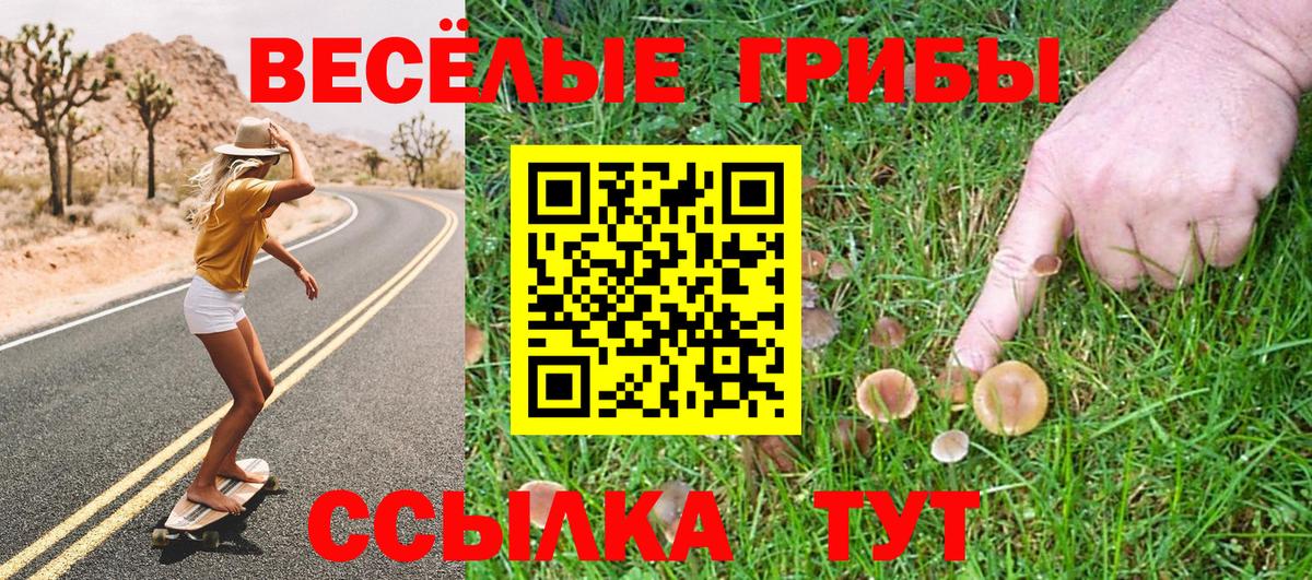 Псилоцибиновые грибы MAGIC MUSHROOMS  Псилоцибиновые грибы ЛСД  Каменск-Шахтинский  Вход с VPN 